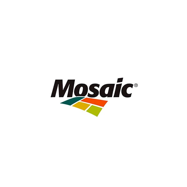 Mosaic