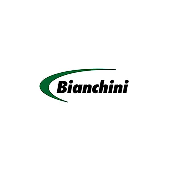 Bianchini
